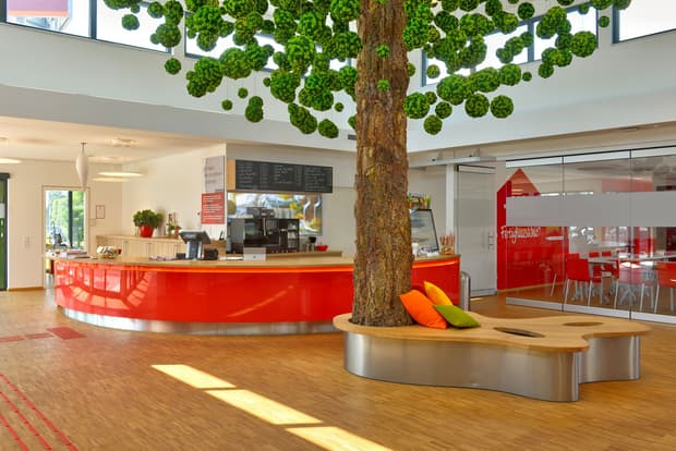 Modernes Café mit roter Theke, großem Baum in der Mitte, Holzfußboden, Sitzbank und heller Glasfassade.