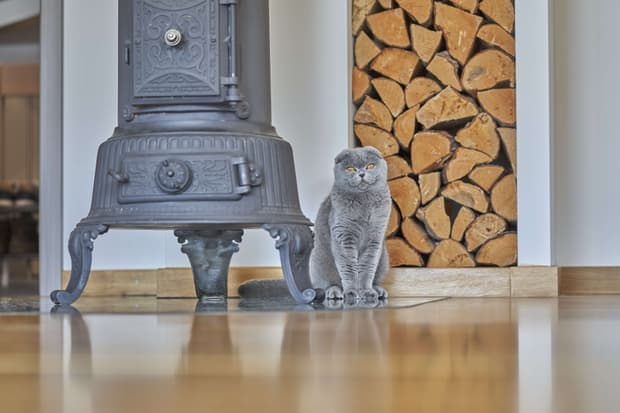 FischerHaus - Klassisch 176