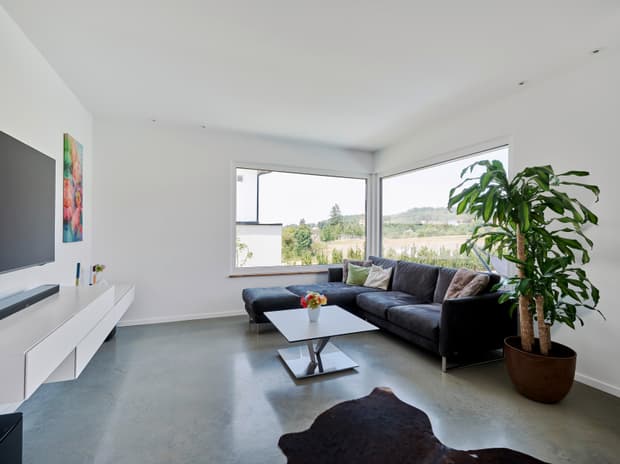 Moderner Wohnbereich mit grauer Eckcouch, weißen Möbeln, großem Fenster und grüner Zimmerpflanze