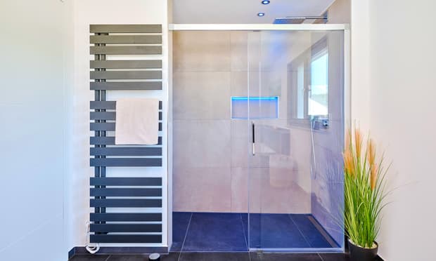 Moderne begehbare Dusche mit Glastür, anthrazitfarbener Heizkörper mit Handtuch und Pflanze im Bad