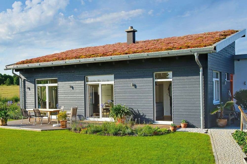 Moderner Bungalow mit Pultdach, Garten und Terrasse