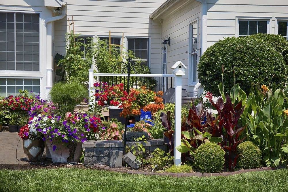 Garten mit verschiedensten Pflanzen als Sichtschutz