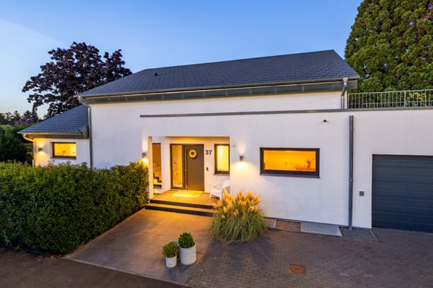 Pultdach Klassik 331