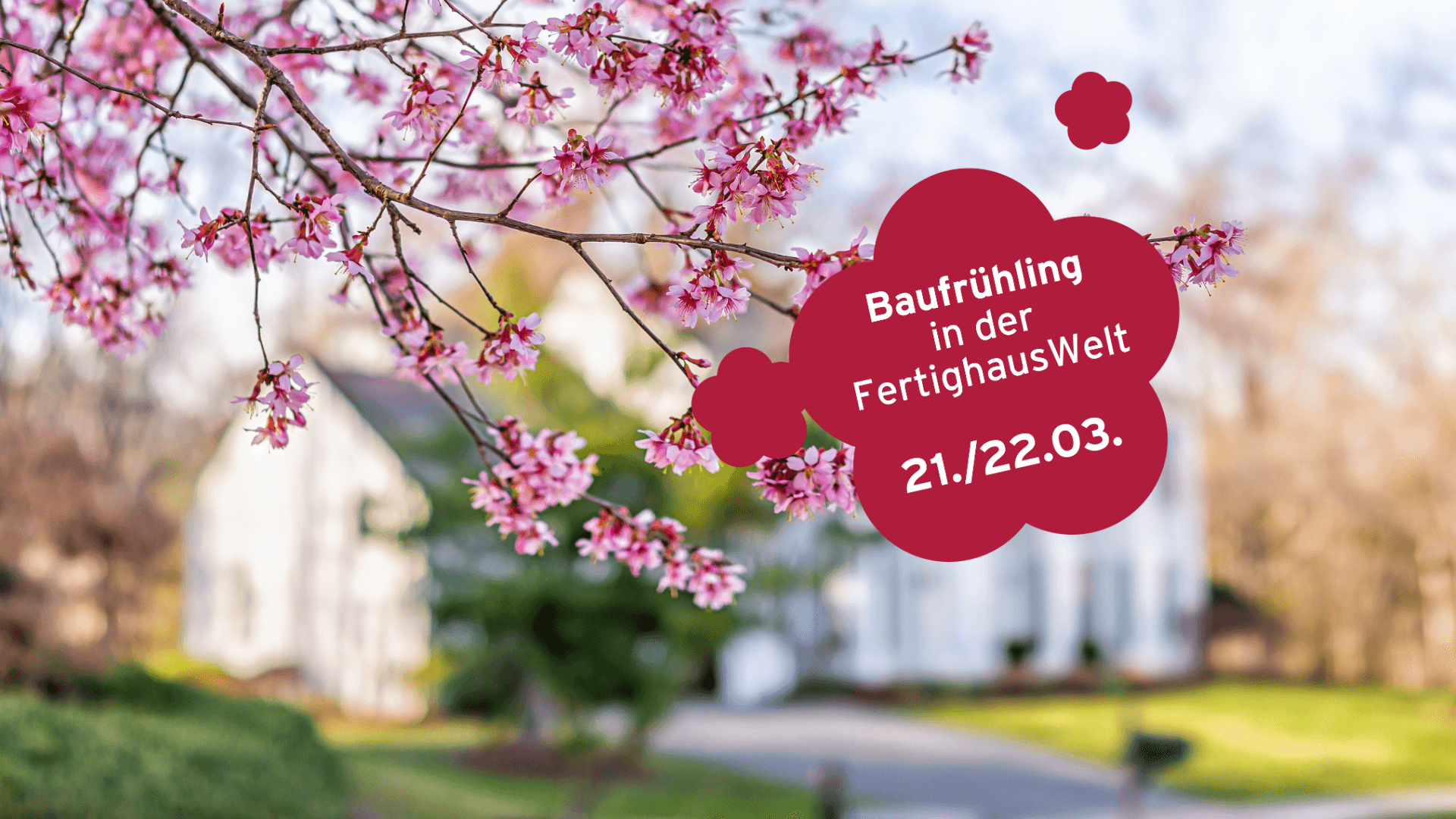 Blühende Kirschzweige vor modernem Fertighaus im Frühling mit Hinweis auf Event „Baufrühling in der FertighausWelt“.