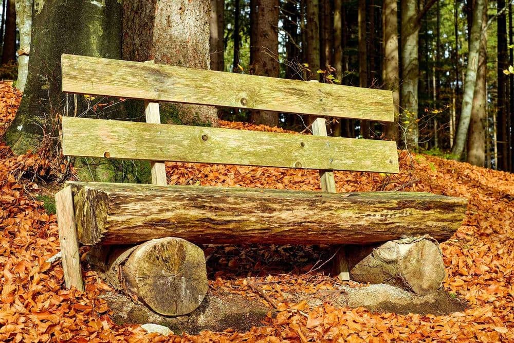 Holzbank aus Rundstämmen und Brettern.