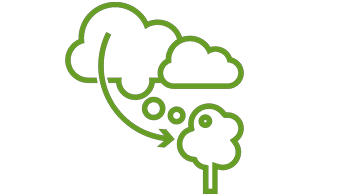 Symbolgrafik für die Aufnahme von CO2 durch Bäume