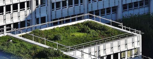 Objektbau mit Flachdach und intensiver Dachbegrünung