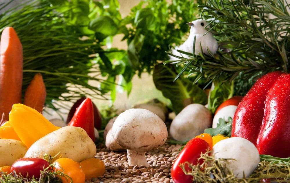 Champignons, Tomaten, Paprika, Möhren, Kräuter und Salat aus eigenem Anbau