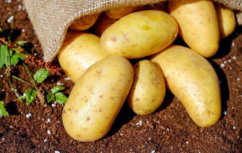 Frische Kartoffeln im Stoffsack