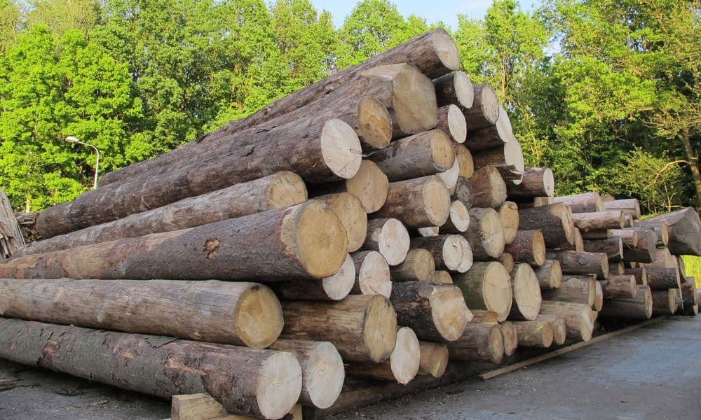 Gestapelte Holzstämme