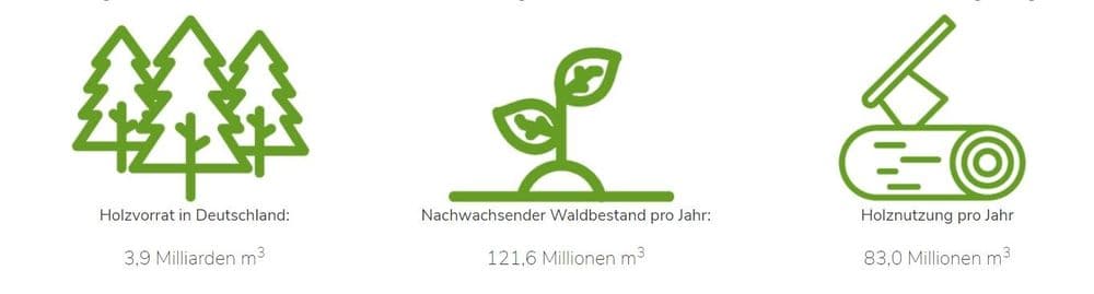 Infografik über die Nachhaltigkeit von Holz als Baustoff