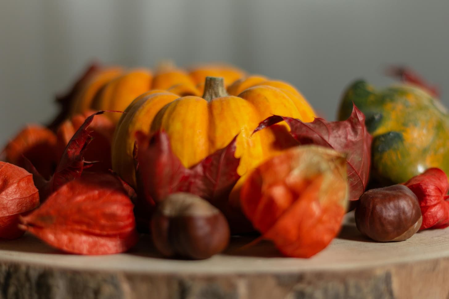FingerHaus-Herbstfest
